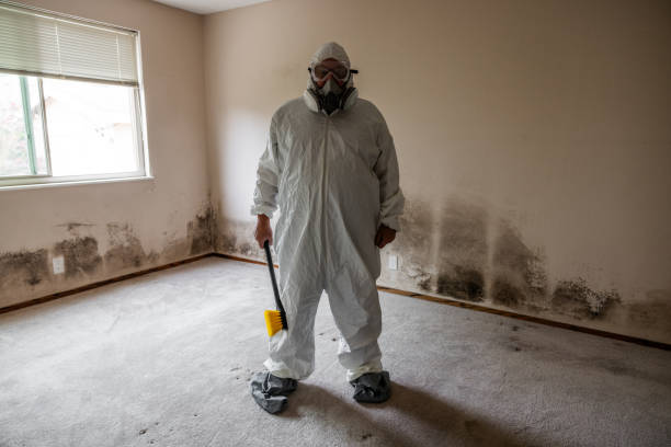 Best Mold Testing  in South San Gabriel, CA